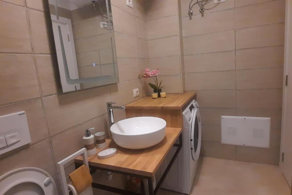 Flower Apartment تيرانا المظهر الخارجي الصورة